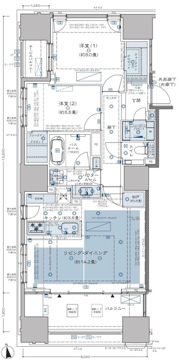 グランドヒルズ南青山-間取り